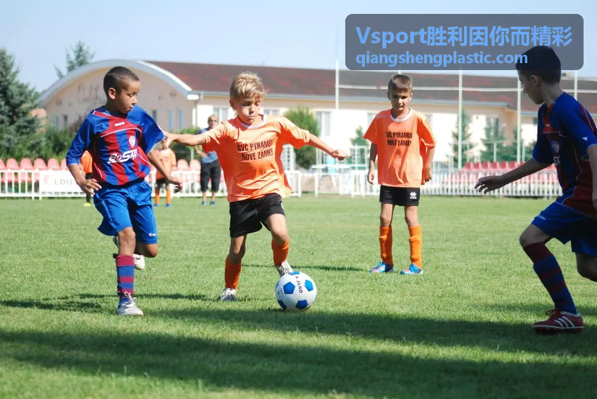 Vsport胜利因你而精彩 羽毛球与多功能馆器材配套